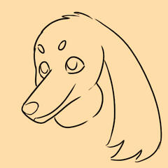 Flop Ears (Three Points)