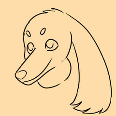 Flop Ears (Four Points)