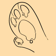 Gooey Paw Pads